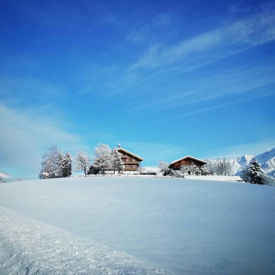 Вилла Vorderkasbichlhof Зальфельден Экстерьер фото